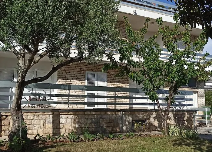 Marijeta * Ζαντάρ